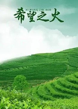 红日